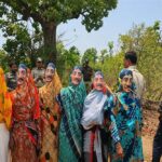 तेंदूपत्ता संग्रहण में मानव-वन्यजीव संघर्ष रोकने वन विभाग की अनूठी पहल