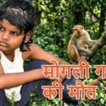 मोगली गर्ल’ एहसास का निधन, 9 साल बाद थम गया संघर्ष का सफर