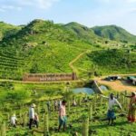 हरियाली बढ़ाने के लिए मनरेगा से पहाड़ियों पर हरित मॉडल विकसित करेगा प्रशासन