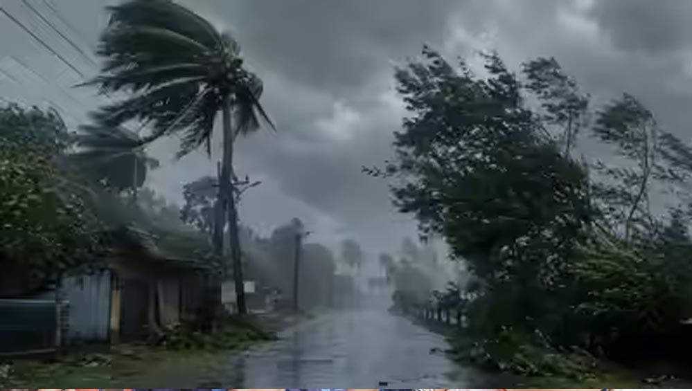Monsoon Pattern Change: जून-जुलाई में कमजोर पड़ रहा मानसून, छत्तीसगढ़ में बारिश का नया ट्रेंड सामने आया