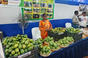 रसायन-मुक्त आमों की प्रदर्शनी, रांची में किसानों को मिला सीधा बाजार