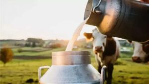 ग्रामीण अर्थव्यवस्था को मजबूती, डेयरी यूनिट पर 5 लाख तक ऋण सुविधा