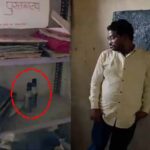 सरकारी स्कूल में जाम छलकाते मिला शिक्षक, कवर्धा में वीडियो वायरल; DEO बोले- होगी जांच