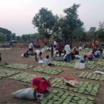 Bastar News: तेंदूपत्ता खरीदी ने रचा इतिहास, 50 हजार संग्राहकों की दूरी बनी चिंता का विषय