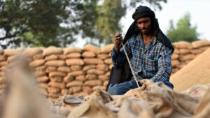 Employment Report: रोजगार के मामले में लुधियाना सबसे आगे, 63 फीसदी कर्मचारी नियमित वेतनभोगी