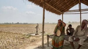 पांच जिलों में भारी बारिश और वज्रपात का अलर्ट जारी