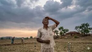 IMD पूर्वानुमान के बाद कृषि विभाग सक्रिय, धान की कम अवधि वाली किस्में अपनाने की अपील
