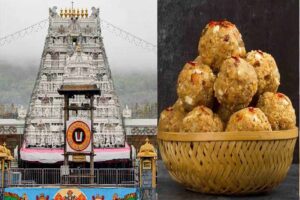 तिरुपति लड्डू को लेकर बड़ा खुलासा, घी में पाम ऑयल मिलाने का आरोप