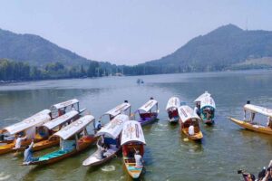 कश्मीर में लोकल आतंकियों की संख्या घटी, आर्टिकल 370 के बाद बदले हालात