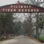 टाइगर रिजर्व में बढ़े टिकट के दाम, विदेशी पर्यटकों को अब देने होंगे 1000 रुपये