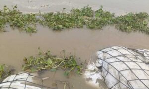 बाढ़ से कितने घर डूबेंगे, अब पहले बताएगा ‘गरुड़’, 413 निकायों का GIS डेटा तैयार करने वाला MP पहला राज्य