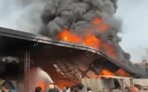 Jalandhar Fire: गद्दे की फैक्ट्री धधकी, आसमान में छाया काला धुआं; आग बुझाने पहुंचीं 10 फायर ब्रिगेड की गाड़ियां