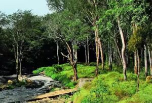 साउथ रिज फेज-2 में 400 हेक्टेयर जमीन, एलजी की मंजूरी का इंतजार