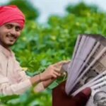 सब्जी-मसाले से फूलों तक खेती पर मिलेगी आर्थिक मदद, जानें किस फसल पर कितना अनुदान