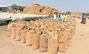 किसानों के लिए राहत की खबर, सुकमा में 6 नए धान खरीदी केंद्रों को मंजूरी