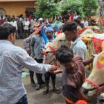 पोला पर्व पर छत्तीसगढ़ में खास आयोजन, CM विष्णुदेव साय होंगे शामिल