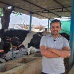 कृत्रिम गर्भाधान से अपने डेयरी फार्म में तैयार कर रहे उन्नत नस्ल की बछिया, बाहर से गाय खरीदने की जरूरत हुई कम