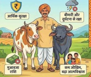 हरियाणा में पशुपालकों को बड़ी राहत, 19.19 लाख पशुओं का बीमा, ₹23.68 करोड़ की मदद