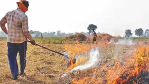 पराली प्रबंधन पर बाजवा का सुझाव, किसानों को ₹100 प्रति क्विंटल प्रोत्साहन देने की मांग