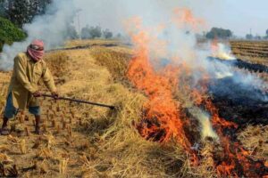 पराली बनेगी कमाई का जरिया, विदिशा में CBG प्लांट से अन्नदाता बनेंगे ‘ऊर्जादाता’