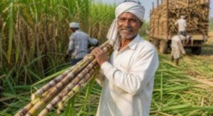 अन्नदाता की खुशहाली और खेती को लाभकारी बनाना हमारी सर्वोच्च प्राथमिकता : मुख्यमंत्री साय