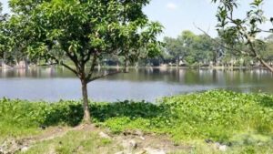 मधुबनी के ऐतिहासिक महारानी पोखर को मिलेगी नई पहचान, घाट निर्माण और सौंदर्यीकरण को मंजूरी
