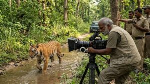 ‘मछली’ की कहानी के बाद यूपी के जंगलों की बारी, नल्ला मुथु बनाएंगे वन्यजीवन पर खास डॉक्यूमेंट्री