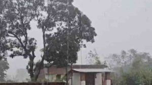 मध्य प्रदेश में फिर बदलेगा मौसम, रीवा-सतना समेत 3 जिलों में भारी बारिश की चेतावनी; मक्का भीगा