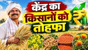 किसानों के लिए बड़ी खबर, रबी फसलों के समर्थन मूल्य में इजाफा; दलहन-तिलहन को बढ़ावा