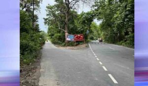 Bhopal Master Plan: वन क्षेत्रों और बाघों के प्रजनन जोन से गुजरेंगी सड़कें, प्लानिंग पर उठे सवाल