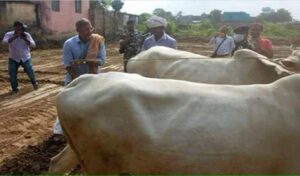 नाना पाटेकर की बिहार यात्रा की यादें फिर ताजा, किसानों के बीच उतरे खेत में, जवानों का बढ़ाया हौसला