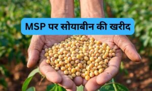 किसानों के लिए जरूरी खबर, सोयाबीन बेचने के लिए 3 से 17 अक्टूबर तक कराएं पंजीयन