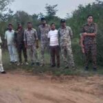 कूनो में 19 महीने के चीते की मौत पर बड़ा एक्शन, 6 वनकर्मी निलंबित; जांच के लिए STF बनाई गई