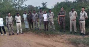 कूनो में 19 महीने के चीते की मौत पर बड़ा एक्शन, 6 वनकर्मी निलंबित; जांच के लिए STF बनाई गई