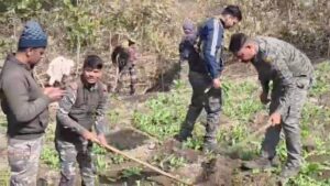झारखंड के जंगलों में अफीम की खेती रोकने की तैयारी, वन विभाग ने बढ़ाई तकनीकी निगरानी