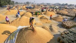 धान खरीद में देरी से किसान परेशान, जींद-असंध मार्ग पर जाम; अंबाला की मंडियों में बढ़ी निगरानी
