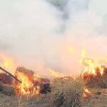 पंजाब में पराली विवाद ने पकड़ा तूल, अधिकारी पर हमले के बाद 90 किसानों पर FIR