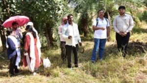 2300 साल पुरानी वैश्य टेकरी फिर बनेगी शोध का केंद्र, 88 साल बाद उत्खनन की तैयारी शुरू