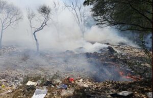 मोहाली में फैक्टरी के पास भड़की आग, सूखी झाड़ियों ने पकड़ी लपटें