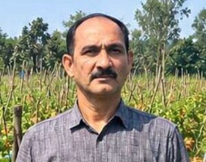 उन्नत टमाटर की खेती से शाहिद की मेहनत लाई रंग, 2 एकड़ में कमाए 1.20 लाख रुपये