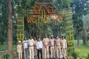 ताला, मगधी और खितौली गेट खुले, पहले दिन बाघिन के दीदार से पर्यटकों में उत्साह