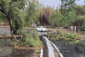 MP Weather Update: 11 जिलों में येलो अलर्ट, अमरकंटक में पारा 16 डिग्री से नीचे